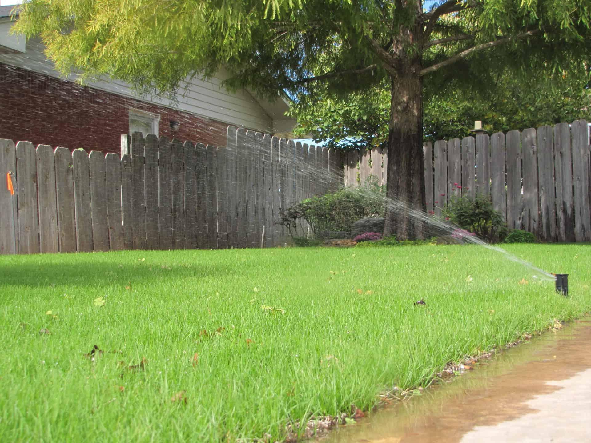 Grass being watered by in-ground sprinkler